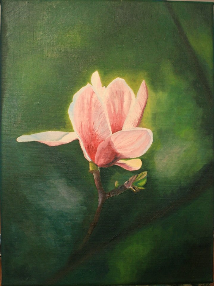 Jan Joost Maasland Art Magnolia